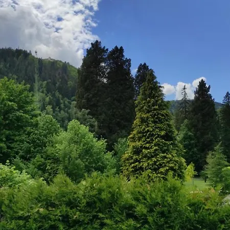 Du Parc لا بوربول